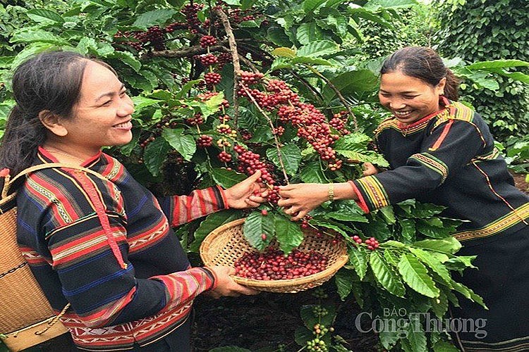 Được thực hiện trong 4 năm từ 2022 tới 2026, tại các tỉnh Lâm Đồng và Đăk Nông, Dự án hướng đến mục tiêu tới năm 2026, 25.000 ha rừng tự nhiên sẽ được bảo vệ, giảm lượng phát thải tương đương khoảng 3 triệu tấn CO2. Đồng thời, cải thiện sinh kế cho 35% dân số trong 2 tỉnh, đặc biệt là người dân tộc ít người và phụ nữ; và nâng cao tính bền vững trong sản xuất với mục tiêu các hàng hóa chính tăng 25% giá trị.  Được thực hiện trong 4 năm từ 2022 tới 2026, tại các tỉnh Lâm Đồng và Đăk Nông, Dự án hướng đến mục tiêu tới năm 2026, 25.000 ha rừng tự nhiên sẽ được bảo vệ, giảm lượng phát thải tương đương khoảng 3 triệu tấn CO2. Đồng thời, cải thiện sinh kế cho 35% dân số trong 2 tỉnh, đặc biệt là người dân tộc ít người và phụ nữ; và nâng cao tính bền vững trong sản xuất với mục tiêu các hàng hóa chính tăng 25% giá trị.