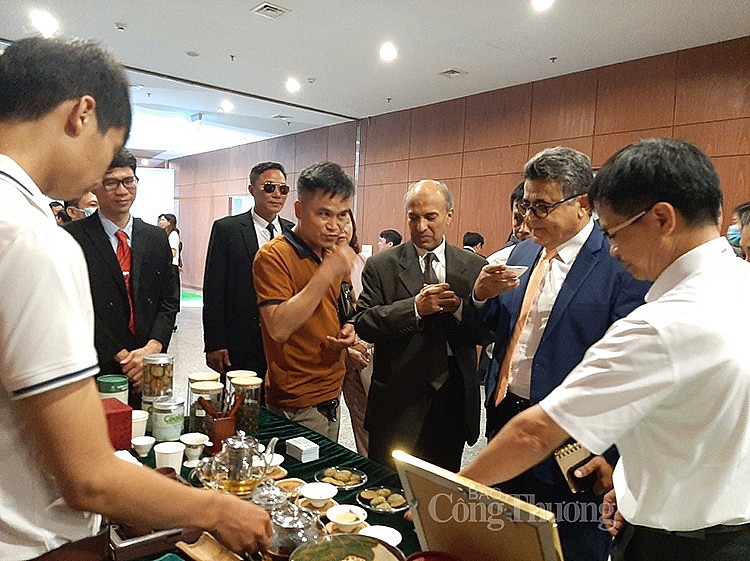 Xúc tiến xuất khẩu trà tỉnh Lai Châu vào thị trường Trung Đông, Bắc Phi và Nam Á