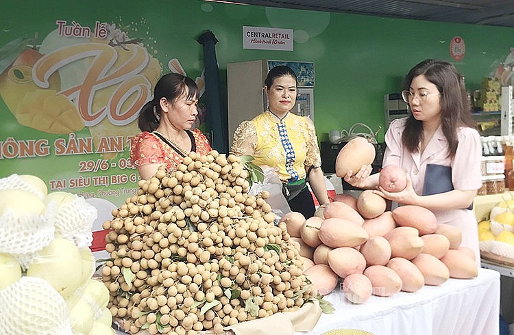 Khách hàng thăm quan mua sắm nông sản Sơn La Khách hàng thăm quan mua sắm nông sản Sơn La