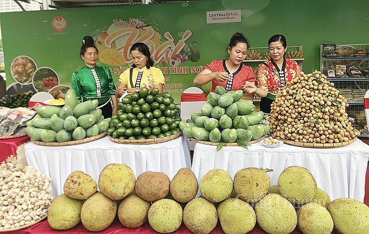 Xoài và nông sản an toàn được giới thiệu và quảng bá đến người tiêu dùng Thủ đô Xoài và nông sản an toàn được giới thiệu và quảng bá đến người tiêu dùng Thủ đô