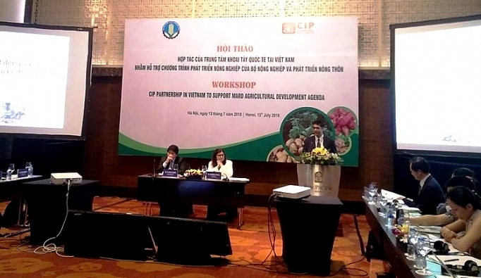 Khoai tây Việt mới đáp ứng được 30-40% nhu cầu trong nước khoai tay viet moi dap ung duoc 30 40 nhu cau trong nuoc