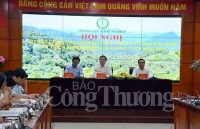 Xuất khẩu gỗ và lâm sản 6 tháng đầu năm tăng trưởng vượt bậc