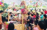 Big C và GO! Market! đưa thanh long Bình Thuận đến với người tiêu dùng Thủ đô