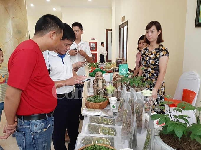 kinh te tap the trong nong nghiep van cho dong luc de phat trien