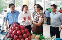Kinh tế tập thể trong nông nghiệp: Vẫn chờ động lực để phát triển