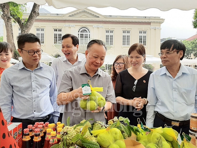 ha noi da trien khai xay dung 727 chuoi cung cap rau thit an toan voi cac tinh thanh pho