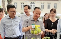 Hà Nội đã triển khai xây dựng 727 chuỗi cung cấp rau, thịt an toàn với các tỉnh, thành phố