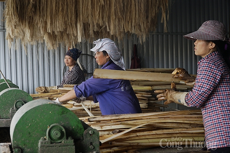 Bẹ chuối sau khi tác được đưa vào ép sợi 1243 ep be chuoi thanh soi