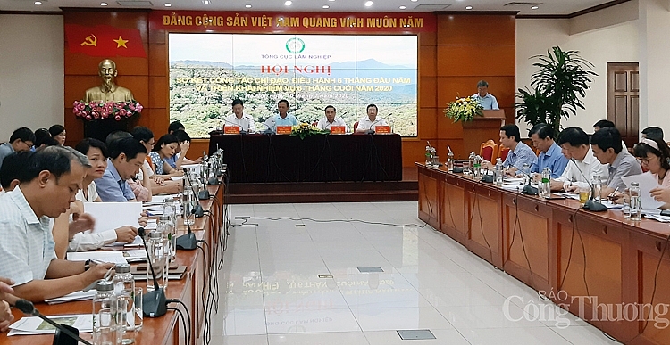 Xuất khẩu lâm sản hướng đến mục tiêu trên 12 tỷ USD trong năm 2020 xuat khau lam san huong den muc tieu tren 12 ty usd trong nam 2020