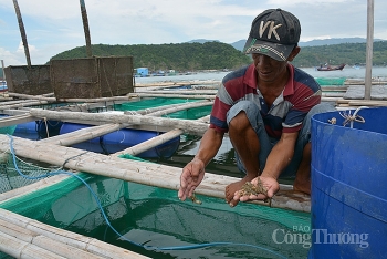 Dự báo xuất khẩu thủy sản của Việt Nam năm 2022 đạt 9,2 tỷ USD
