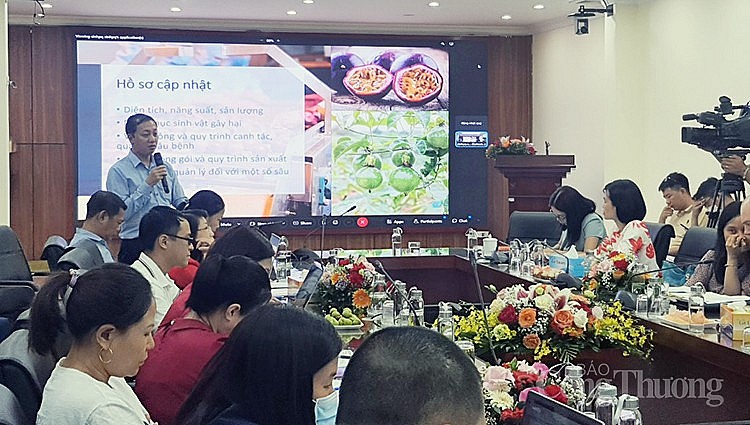 Công bố xuất khẩu thí điểm chanh leo chính ngạch sang thị trường Trung Quốc Công bố xuất khẩu thí điểm chanh leo chính ngạch sang thị trường Trung Quốc