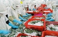 7 tháng đầu năm 2018, xuất khẩu thủy sản đạt 4,63 tỷ USD