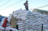 Nhập khẩu phân bón 7 tháng đầu năm 2018 giảm mạnh cả lượng và giá trị