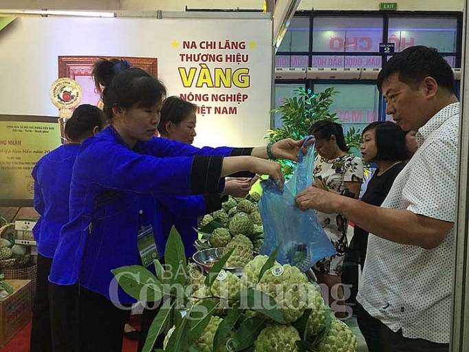 khai mac tua n le qua ng ba na chi lang va da c sa n la ng son nam 2018 tai ha noi