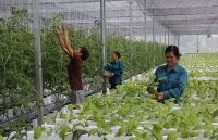 Kinh tế tập thể: Động lực phát triển kinh tế khu vực miền núi phía Bắc