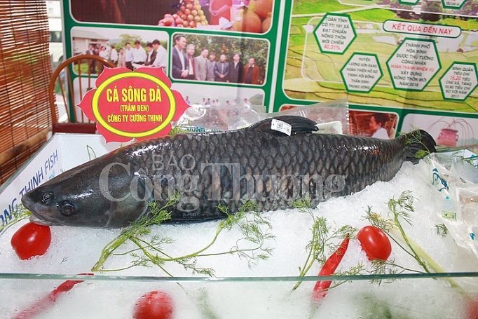 Lan tỏa sâu rộng Chương trình MTQG xây dựng nông thôn mới ở khu vực miền núi phía Bắc lan toa sau rong chuong trinh mtqg xay dung nong thon moi o khu vuc mien nui phia bac