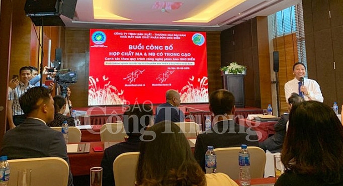 Phát hiện hai hợp chất quý có trong gạo hữu cơ Quảng Trị phat hien hai hop chat quy co trong gao huu co quang tri