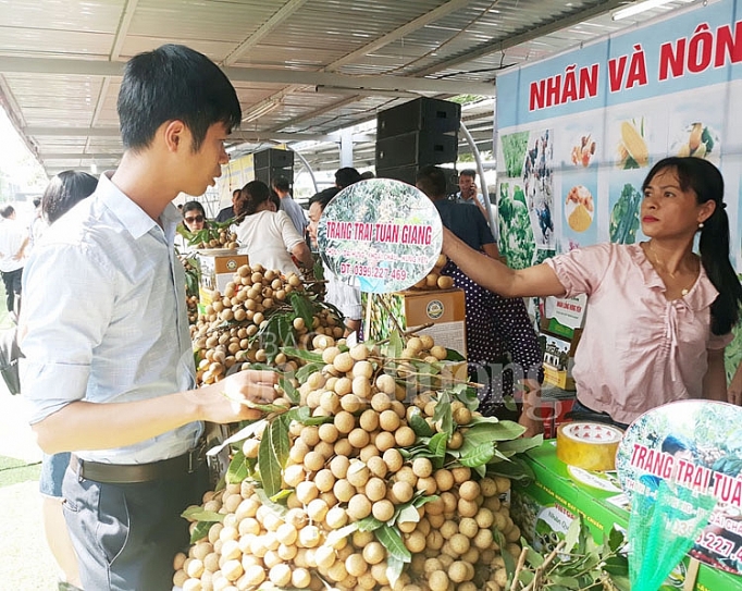 quang ba gioi thieu nhan hung yen tai sieu thi big c