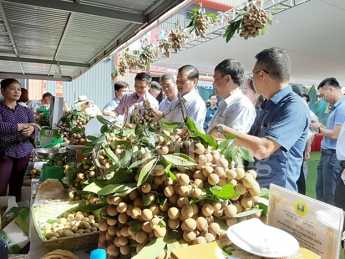 Thị trường rằm tháng 7: Trái cây nội hút khách thi truong ram thang 7 trai cay noi hut khach