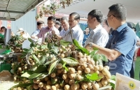 Thị trường rằm tháng 7: Trái cây nội hút khách