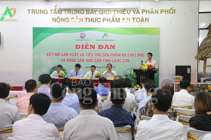 xuc tien quang ba na chi lang tai thi truong ha noi