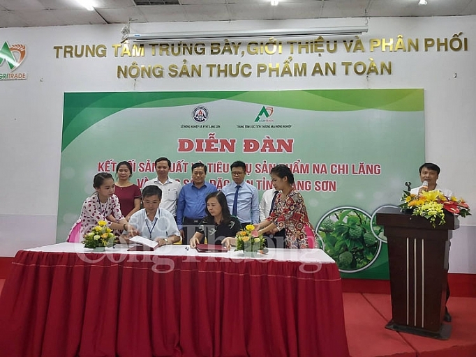xuc tien quang ba na chi lang tai thi truong ha noi