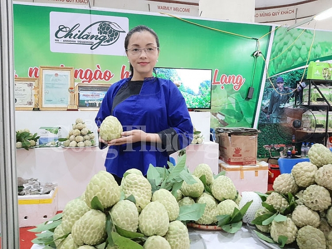 xuc tien quang ba na chi lang tai thi truong ha noi