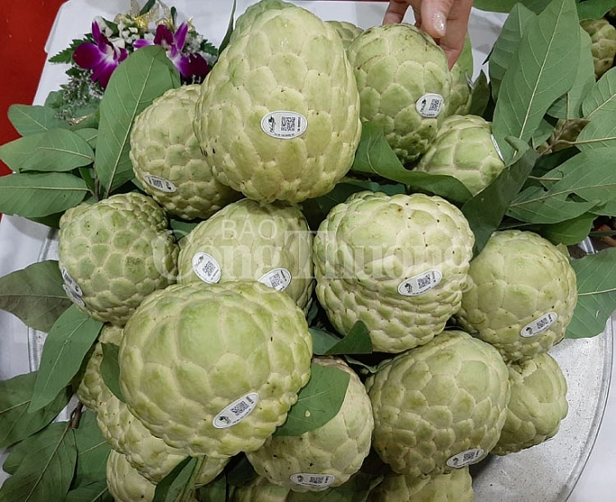 xuc tien quang ba na chi lang tai thi truong ha noi