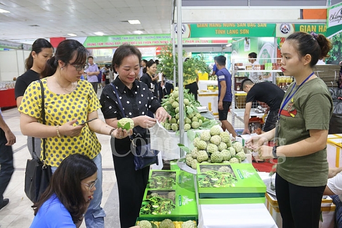 xuc tien quang ba na chi lang tai thi truong ha noi