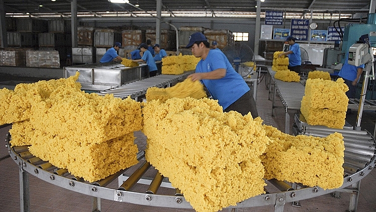 7 tháng đầu năm 2020: Xuất khẩu cao su đạt 855,4 triệu USD 1246-xuat-khau-cao-su