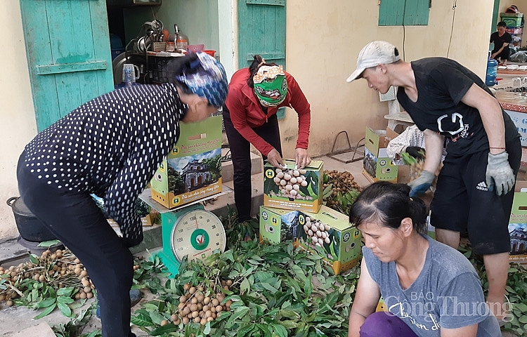 Nhãn được đóng gói vào các thùng catton 5kg với mẫu mã bao bì đẹp mắt, hấp dẫn người mua 5519-dong-goi-nhan-vao-hop
