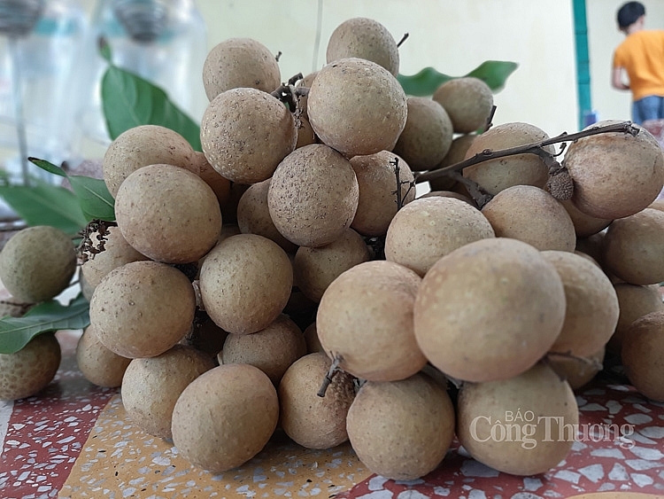 Nhãn Hưng Yên vị ngọt, giòn, thơm 5523-nhan-hung-yen