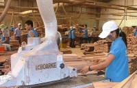 Triển vọng sáng cho xuất khẩu gỗ sang EU