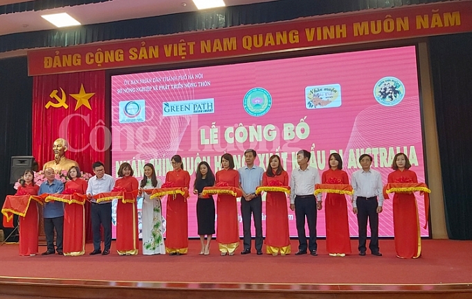 ha noi 1 tan nhan nhan chin muon len duong sang australia