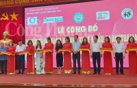 Hà Nội: 1 tấn nhãn nhãn chín muộn lên đường sang Australia