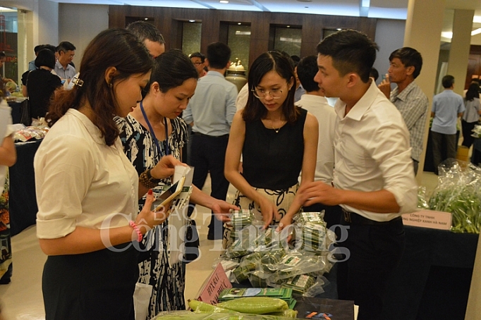 Hà Nội: Kết nối, xúc tiến tiêu thụ nông sản an toàn Thủ đô năm 2019 ha noi ket noi xuc tien tieu thu nong san an toan thu do nam 2019