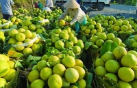 Gỡ vướng, thúc đẩy kết nối tiêu thụ nông sản Nam bộ tại Hà Nội