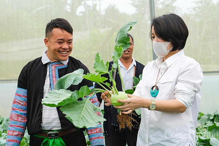 4543-chuong-trinh-sinh-ke-cong-dong