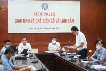 Xuất khẩu gỗ và lâm sản: Cần có lộ trình và chính sách hỗ trợ thống nhất