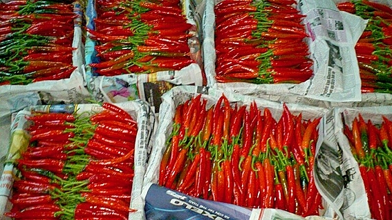 Malaysia dừng nhập khẩu ớt từ Việt Nam malaysia dung nhap khau ot tu viet nam