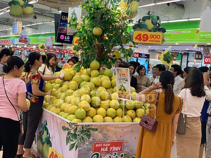 Bưởi Phúc Trạch "cháy hàng" khi lần đầu được giới thiệu tại Big C và GO! buoi phuc trach chay hang khi lan dau duoc gioi thieu tai big c va go