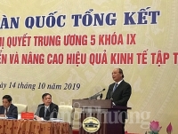 “3 đồng hành, 5 hỗ trợ” trong phát triển kinh tế tập thể, hợp tác xã