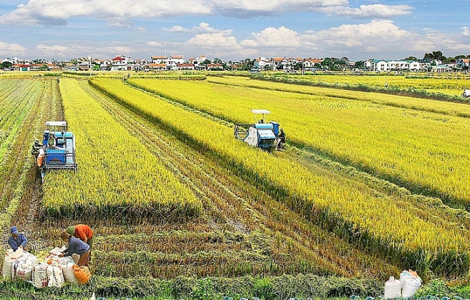 Sắp diễn ra Hội nghị toàn quốc Tổng kết 10 năm xây dựng nông thôn mới ngay 1910 hoi nghi toan quoc tong ket 10 nam xay dung nong thon moi se dien ra tai nam dinh