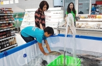 Hà Nội: Giới thiệu cá sông Đà đến người tiêu dùng Thủ đô