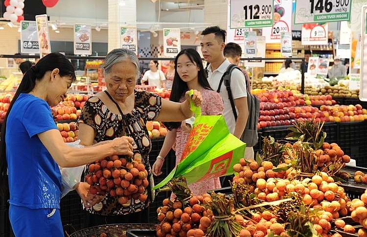 Nhiều siêu thị triển khai chương trình tặng túi mua sắm sử dụng nhiều lần tới những khách hàng 1241-cvd-0551