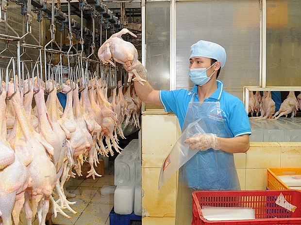 doanh nghiệp kiến nghị các đơn vị chức năng của Bộ NN&PTNT như Cục Chế biến và Phát triển thị trường nông sản, Cục Thú y cần thông tin cho doanh nghiệp về nhu cầu cũng như hỗ trợ đàm phán xuất khẩu doanh nghiệp kiến nghị các đơn vị chức năng của Bộ NN&PTNT như Cục Chế biến và Phát triển thị trường nông sản, Cục Thú y cần thông tin cho doanh nghiệp về nhu cầu cũng như hỗ trợ đàm phán xuất khẩu