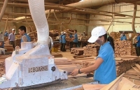 11 tháng năm 2018, xuất khẩu lâm sản vượt mức 8 tỷ USD