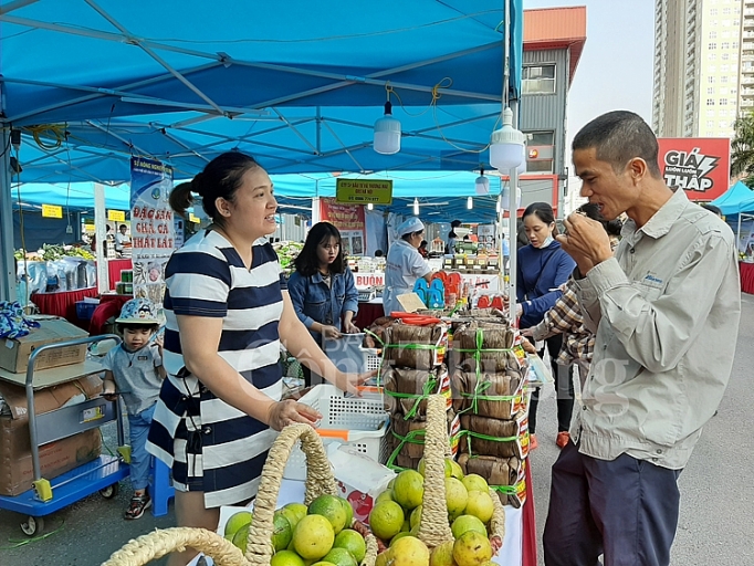 ha noi ket noi cung cau tim dau ra on dinh cho san pham ocop