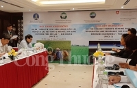 Khởi động giai đoạn 3 dự án RIICE về Hệ thống thông tin viễn thám và bảo hiểm nông nghiệp