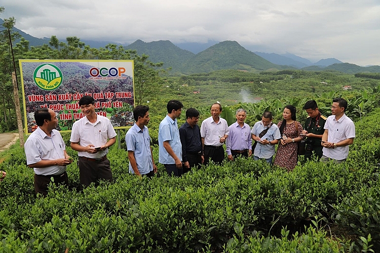 Mô hình OCOP tại xã Phúc Thuận, thị xã Phổ Yên 3326-pho-yen